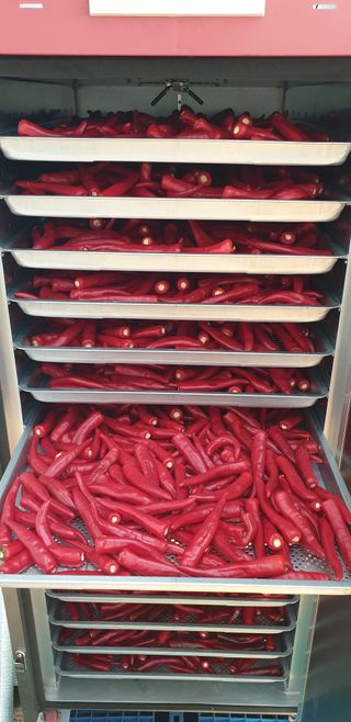 오류농원님의 고추 · 영농일지 작성글 사진