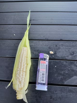 백예현님의 자유주제 · 자유게시판 작성글 사진