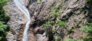 광주당근님의 딸기 · 일상 작성글 사진