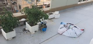 오늘도행복님의 자유주제 · 자유게시판 작성글 사진