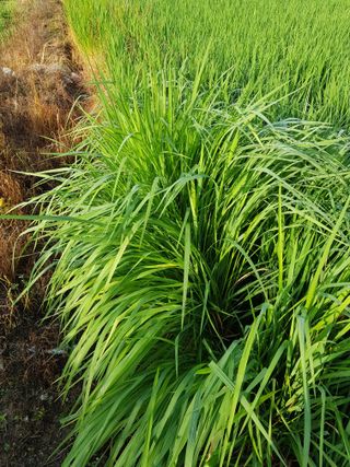 김경희님의 자유주제 · 건의해요 작성글 사진