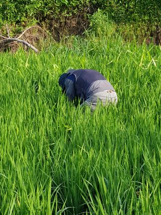 김경희님의 자유주제 · 건의해요 작성글 사진