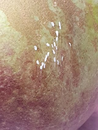 사과짱님의 자유주제 · 자유게시판 작성글 사진