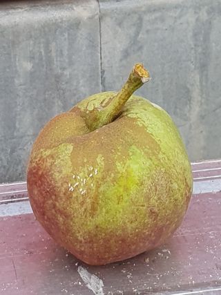 사과짱님의 자유주제 · 자유게시판 작성글 사진