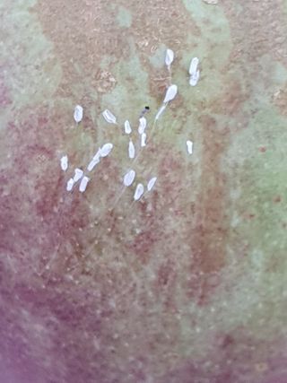 사과짱님의 자유주제 · 자유게시판 작성글 사진