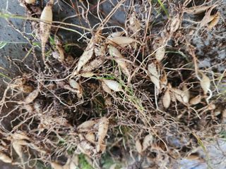 이창신님의 자유주제 · 자유게시판 작성글 사진