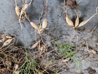 이창신님의 자유주제 · 자유게시판 작성글 사진