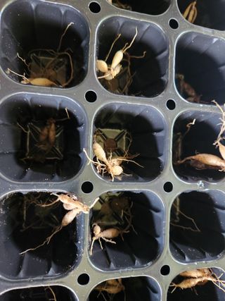 이창신님의 자유주제 · 자유게시판 작성글 사진