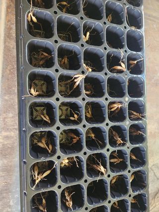 이창신님의 자유주제 · 자유게시판 작성글 사진