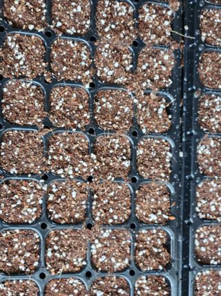 이창신님의 자유주제 · 자유게시판 작성글 사진