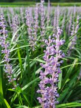 팜모닝 자유주제·자유게시판 게시글 이미지