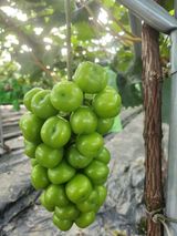 팜모닝 자유주제·자유게시판 게시글 이미지