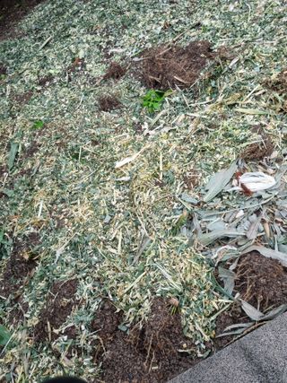 김용대님의 자유주제 · 자유게시판 작성글 사진