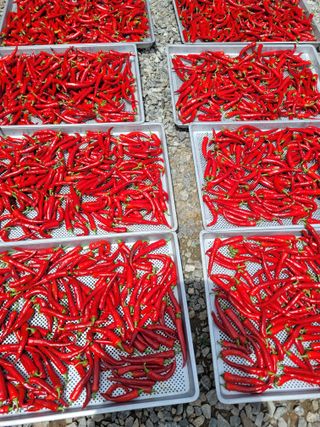 커피나무님의 자유주제 · 자유게시판 작성글 사진