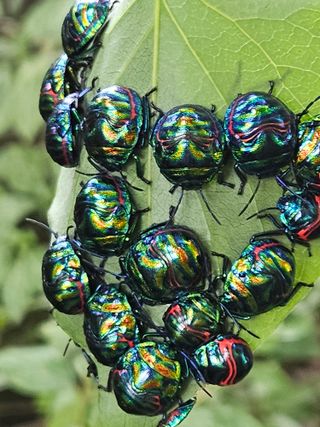 투명소리님의 자유주제 · 자유게시판 작성글 사진