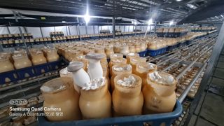 정상국님의 기타작물 · 영농일지 작성글 사진