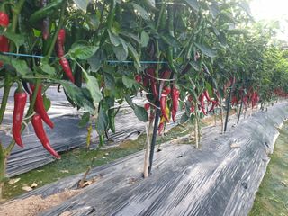 알 수 없음님의 자유주제 · 자유게시판 작성글 사진