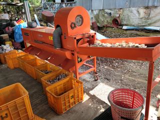 황금사과 이재철님의 마늘 · 영농일지 작성글 사진