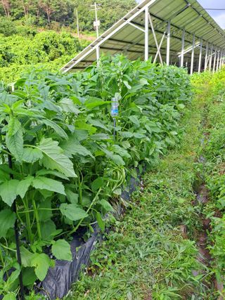 정자형님의 자유주제 · 자유게시판 작성글 사진