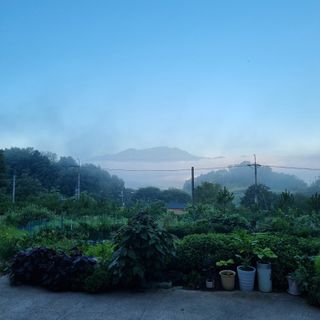 훈&팜님의 고추 · 영농일지 작성글 사진