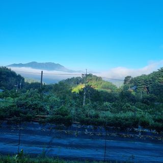 훈&팜님의 고추 · 영농일지 작성글 사진