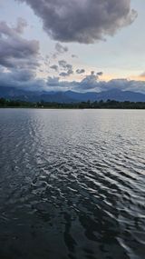 팜모닝 자유주제·자유게시판 게시글 이미지