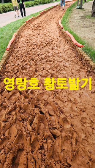 장철식님의 자유주제 · 자유게시판 작성글 사진