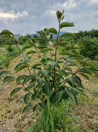 제키님의 자유주제 · 자유게시판 작성글 사진