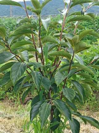 제키님의 자유주제 · 자유게시판 작성글 사진