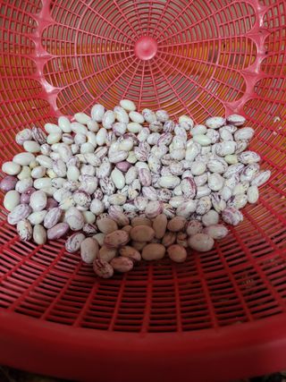 김금자님의 자유주제 · 자유게시판 작성글 사진