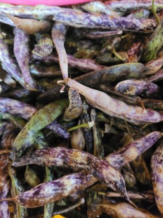 김금자님의 자유주제 · 자유게시판 작성글 사진