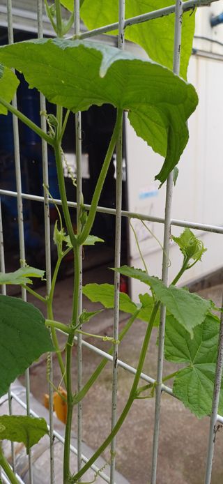 이강재님의 자유주제 · 자유게시판 작성글 사진