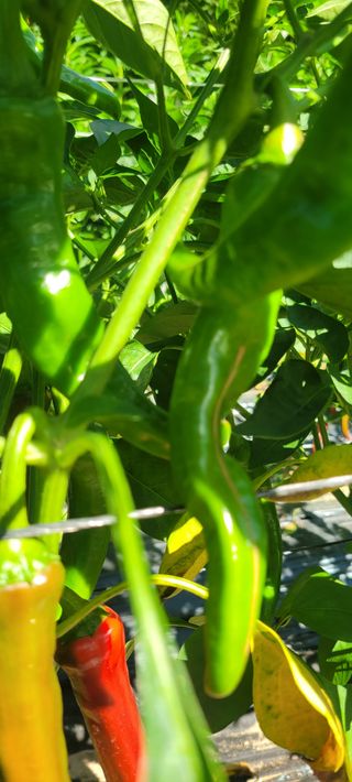 이태희님의 자유주제 · 자유게시판 작성글 사진