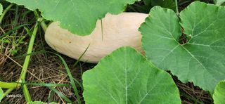 접시꽃님의 자유주제 · 자유게시판 작성글 사진