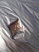 팜모닝 자유주제·자유게시판 게시글 이미지