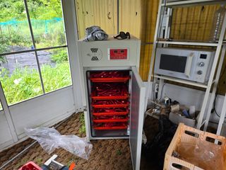 이종애님의 고추 · 영농일지 작성글 사진