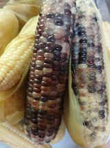 팜모닝 · 게시글 이미지