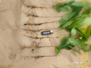 김선웅[포포나무]님의 자유주제 · 자유게시판 작성글 사진