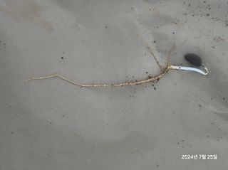 김선웅[포포나무]님의 자유주제 · 자유게시판 작성글 사진