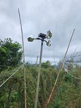 팜모닝 자유주제·자유게시판 게시글 이미지