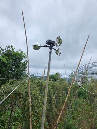 백승화님의 자유주제 · 자유게시판 작성글 사진