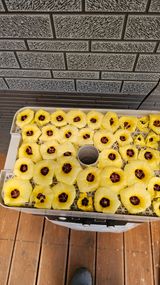 팜모닝 🌧️7월 내 작물 자랑하기·참여글 게시글 이미지