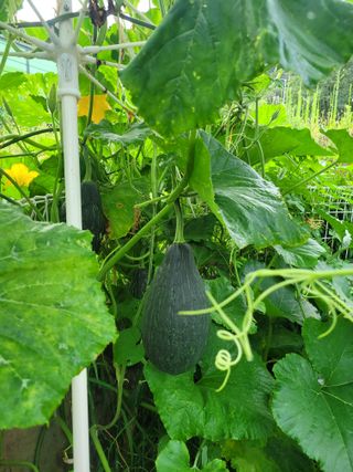 원탑님의 자유주제 · 자유게시판 작성글 사진