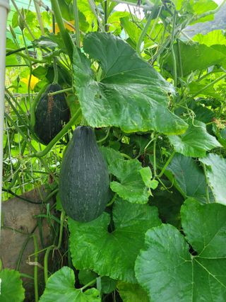 원탑님의 자유주제 · 자유게시판 작성글 사진