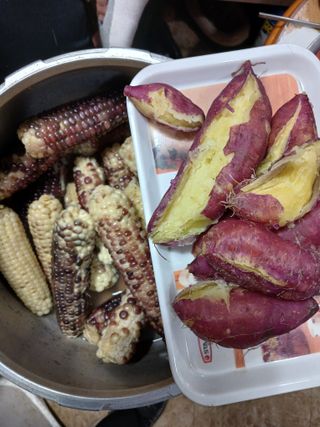 전국하님의 자유주제 · 자유게시판 작성글 사진