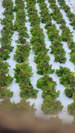 소리사랑 박주현님의 자유주제 · 자유게시판 작성글 사진