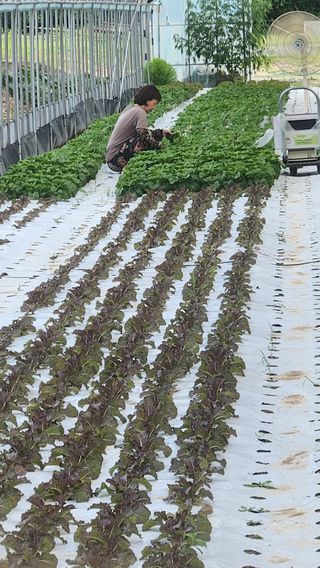 소리사랑 박주현님의 자유주제 · 자유게시판 작성글 사진