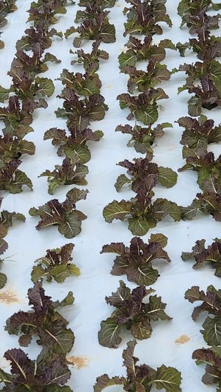 소리사랑 박주현님의 자유주제 · 자유게시판 작성글 사진