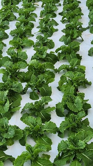 소리사랑 박주현님의 자유주제 · 자유게시판 작성글 사진