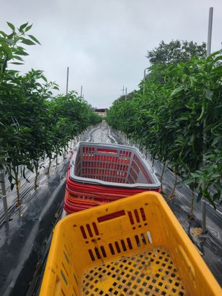 이뿐간장님의 자유주제 · 자유게시판 작성글 사진